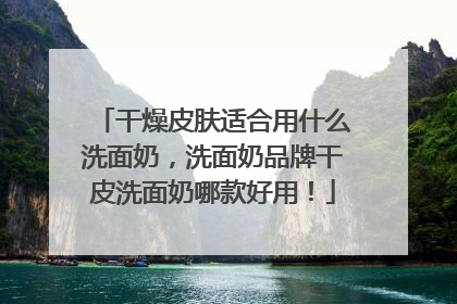 干燥皮肤适合用什么洗面奶，洗面奶品牌干皮洗面奶哪款好用！
