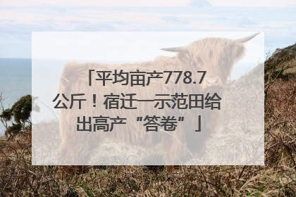 平均亩产778.7公斤！宿迁一示范田给出高产“答卷”