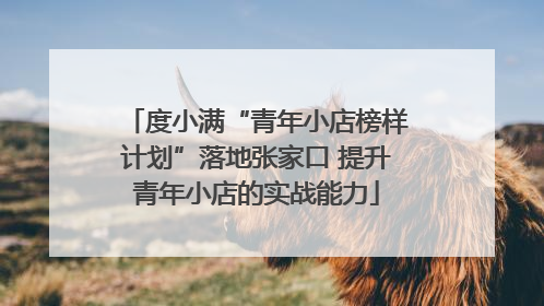 度小满“青年小店榜样计划”落地张家口 提升青年小店的实战能力