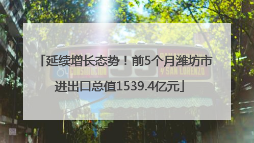 延续增长态势！前5个月潍坊市进出口总值1539.4亿元