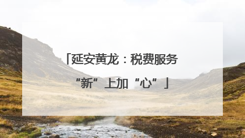 延安黄龙：税费服务“新”上加“心”