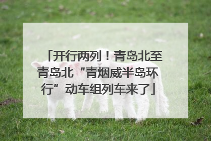 开行两列！青岛北至青岛北“青烟威半岛环行”动车组列车来了