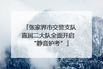 张家界市交警支队直属二大队全面开启“静音护考”