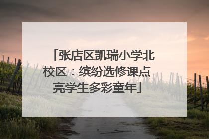 张店区凯瑞小学北校区：缤纷选修课点亮学生多彩童年