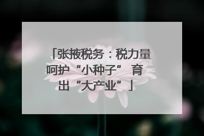 张掖税务：税力量呵护“小种子” 育出“大产业”