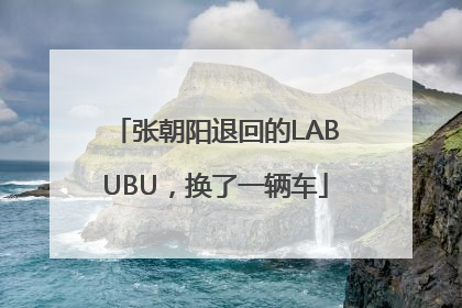 张朝阳退回的LABUBU，换了一辆车