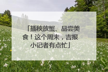 插秧放蟹、品尝美食！这个周末，吉报小记者有点忙