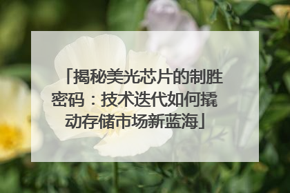 揭秘美光芯片的制胜密码：技术迭代如何撬动存储市场新蓝海