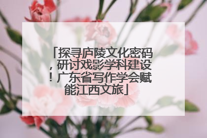 探寻庐陵文化密码，研讨戏影学科建设！广东省写作学会赋能江西文旅