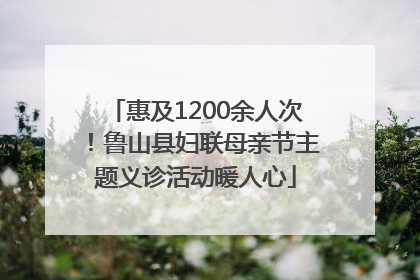 惠及1200余人次！鲁山县妇联母亲节主题义诊活动暖人心