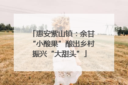 惠安紫山镇：余甘“小酸果”酿出乡村振兴“大甜头”