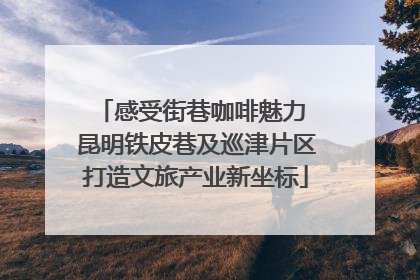感受街巷咖啡魅力 昆明铁皮巷及巡津片区打造文旅产业新坐标