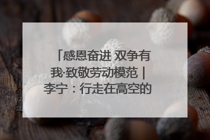 感恩奋进 双争有我·致敬劳动模范｜李宁：行走在高空的“电网卫士”