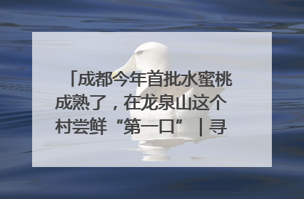 成都今年首批水蜜桃成熟了，在龙泉山这个村尝鲜“第一口”｜寻找和美乡村推荐官