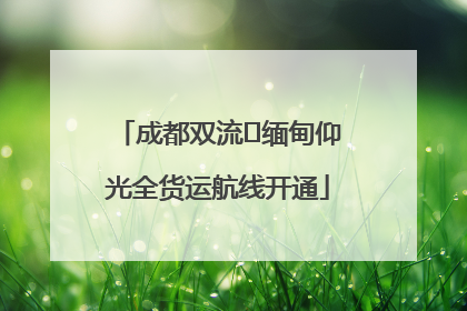 成都双流⇌缅甸仰光全货运航线开通