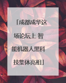 成都成华这场论坛上 智能机器人黑科技集体亮相