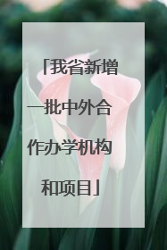 我省新增一批中外合作办学机构和项目