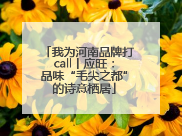 我为河南品牌打call丨应旺：品味“毛尖之都”的诗意栖居