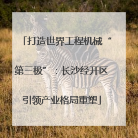 打造世界工程机械“第三极”：长沙经开区引领产业格局重塑
