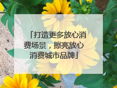 打造更多放心消费场景，擦亮放心消费城市品牌