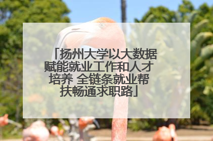扬州大学以大数据赋能就业工作和人才培养 全链条就业帮扶畅通求职路