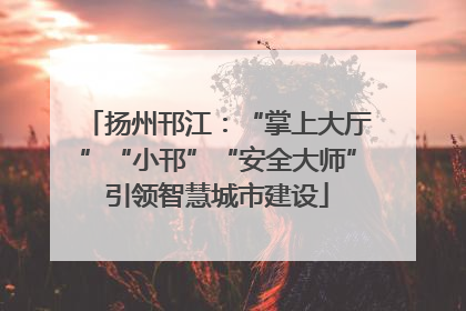 扬州邗江：“掌上大厅”“小邗”“安全大师”引领智慧城市建设