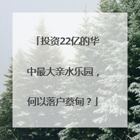投资22亿的华中最大亲水乐园，何以落户蔡甸？