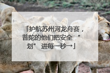 护航苏州河龙舟赛，普陀的他们把安全 “划” 进每一秒→