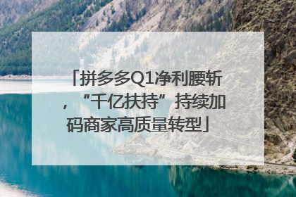 拼多多Q1净利腰斩，“千亿扶持”持续加码商家高质量转型