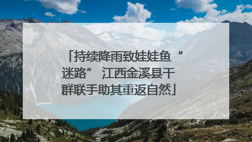 持续降雨致娃娃鱼“迷路” 江西金溪县干群联手助其重返自然