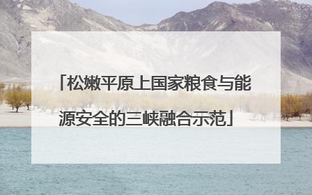 松嫩平原上国家粮食与能源安全的三峡融合示范