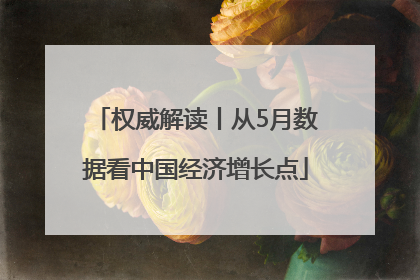 权威解读丨从5月数据看中国经济增长点