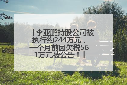 李亚鹏持股公司被执行约244万元，一个月前因欠税561万元被公告！
