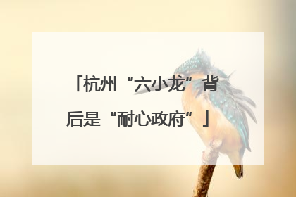 杭州“六小龙”背后是“耐心政府”