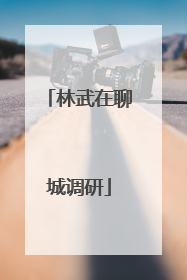 林武在聊城调研