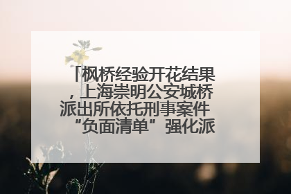 枫桥经验开花结果，上海崇明公安城桥派出所依托刑事案件“负面清单”强化派出所“主防”