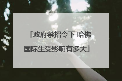 政府禁招令下 哈佛国际生受影响有多大
