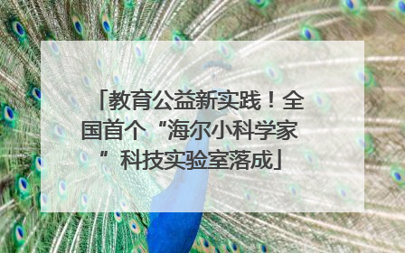 教育公益新实践！全国首个“海尔小科学家”科技实验室落成