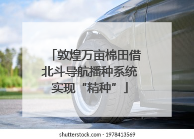 敦煌万亩棉田借北斗导航播种系统实现“精种”