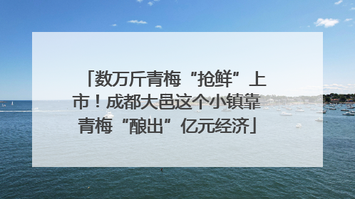 数万斤青梅“抢鲜”上市！成都大邑这个小镇靠青梅“酿出”亿元经济