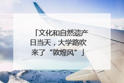 文化和自然遗产日当天，大学路吹来了“敦煌风”