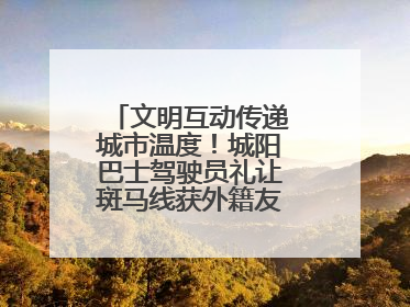 文明互动传递城市温度！城阳巴士驾驶员礼让斑马线获外籍友人鞠躬致谢