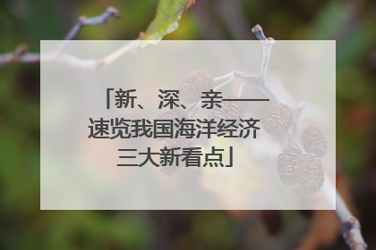 新、深、亲——速览我国海洋经济三大新看点