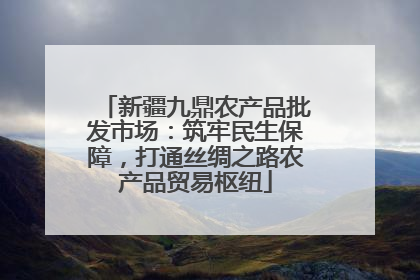 新疆九鼎农产品批发市场：筑牢民生保障，打通丝绸之路农产品贸易枢纽