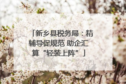 新乡县税务局：精辅导促规范 助企汇算“轻装上阵”