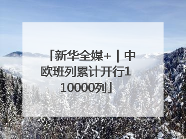 新华全媒+｜中欧班列累计开行110000列