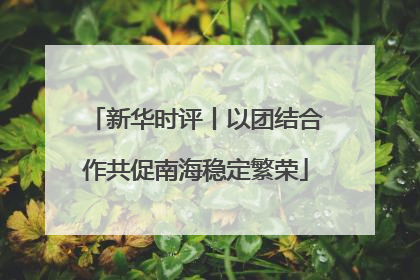 新华时评丨以团结合作共促南海稳定繁荣