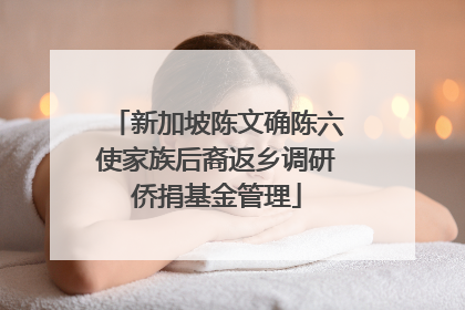 新加坡陈文确陈六使家族后裔返乡调研侨捐基金管理