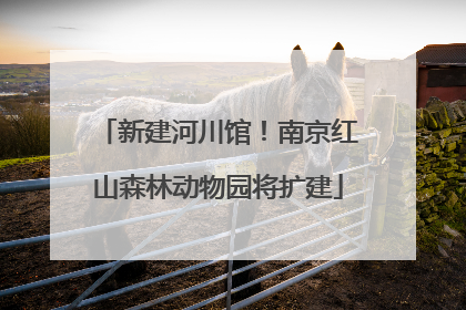 新建河川馆！南京红山森林动物园将扩建