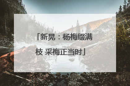 新晃：杨梅缀满枝 采梅正当时